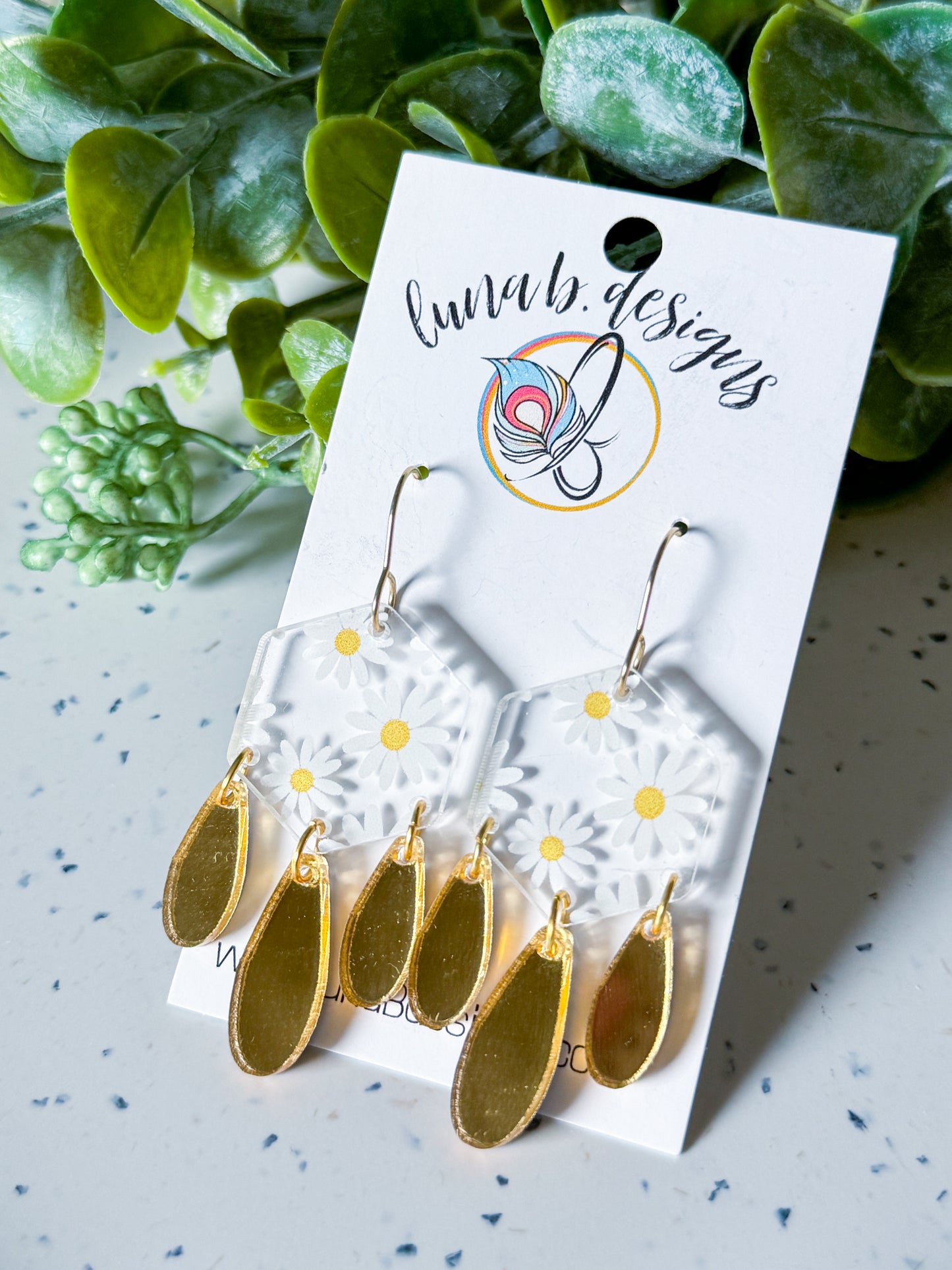 Summer: Daisies